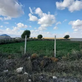 Mellek ýer 16 sotyk