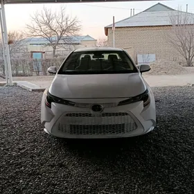 Toyota Corolla 2021