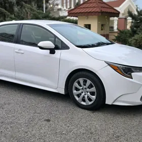 Toyota Corolla 2019