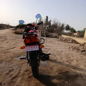 Fekon FK200-14G 2026