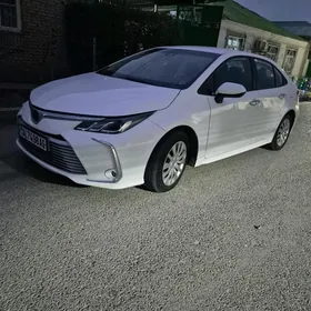 Toyota Corolla 2020