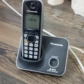 Domaşnyý telefon Panasonic