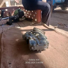 toplumnoÿ açylmadyk