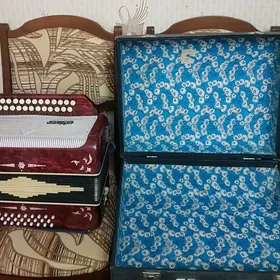 Музыкальный инструмент