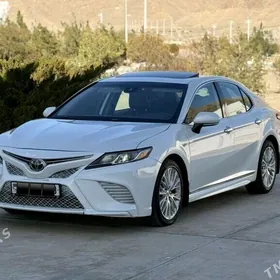 Toyota Camry 2020