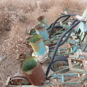 Ruminskiy tohum sepyan