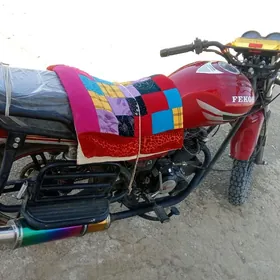 Fekon FK200-14G 2025