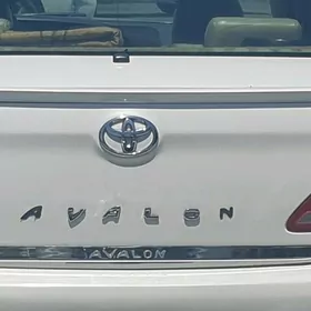 Awalon 05-11ý. bagaž nikel