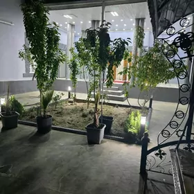 GÜNLÜK ÇOGANLY PLAN