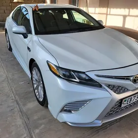 Toyota Camry 2020