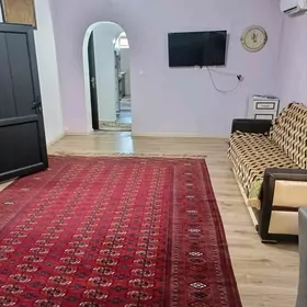 Gagaryn koce howly jay