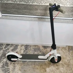 Samokat skuter tokly