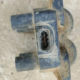 gazel katuska babina