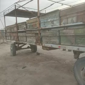 Bal ary teleşkesi ikisi bile