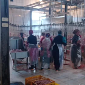 КУРИНАЯ (tawuk) FERMA