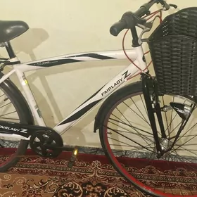 tigir ÿaposka 27 welo