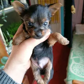 продаюпродаю