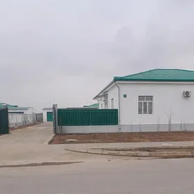 Nurly zaman Bagtyyar yaslar