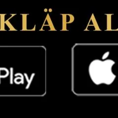 Taýyn biznes Programma