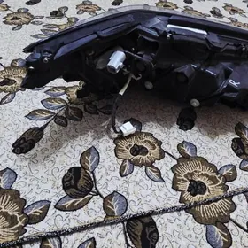 Es 2025 Fara Campyuterem bar