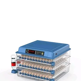 Inkubator 300 yumurtga