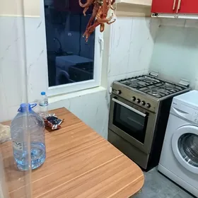 swoboda aliśer nowai koçe