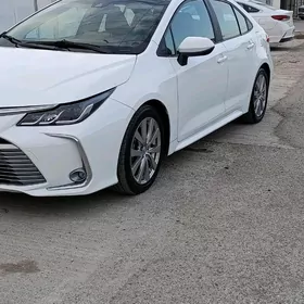 Toyota Corolla 2020