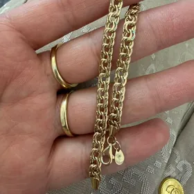 türkiň kardinal brasledi