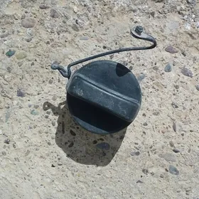 Bagyn gapagy okuz kemry