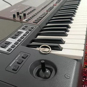 Korg PA 700 Oriental