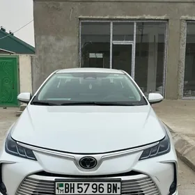 Toyota Corolla 2024