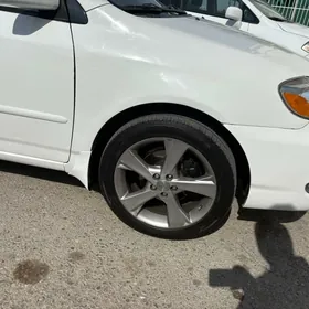 carolla karolla diska 17