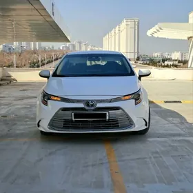 Toyota Corolla 2023