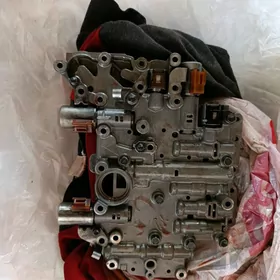 Mazgy koropgañky duty kamry