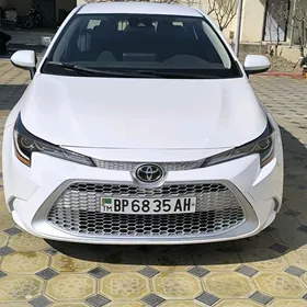 Toyota Corolla 2023
