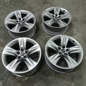 haylander limited 19lyk