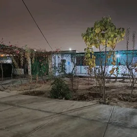 Taze Zaman Plan jay Gyssagly