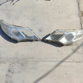 Fara Haliji Camry Palta