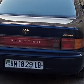 stopnik стопник самсык