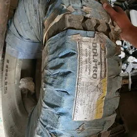 Howa piratektir Teker