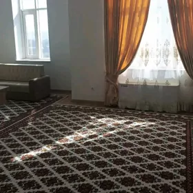 Eyesinden 16 njy tapgyr elitka