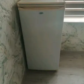 holodilnik (холодильник)