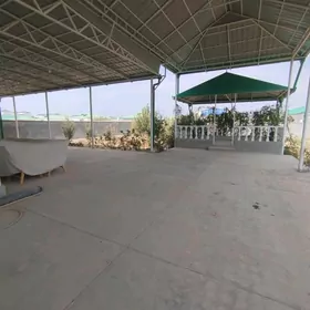 ARENDA ANEW PLAN JAY 