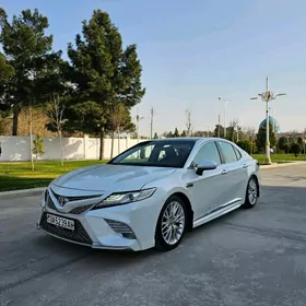 Toyota Camry 2019
