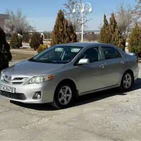 Toyota Corolla 2010