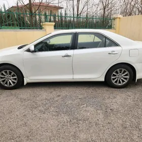 Toyota Camry 2013