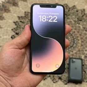 iphone 11pro