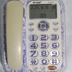 ДОМАШНИЙ ТЕЛЕФОН