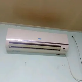 kaninsoner  gul yali islap dur