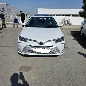 Toyota Corolla 2024